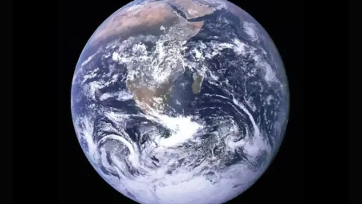 Extinção em massa prevista antes de 2050
