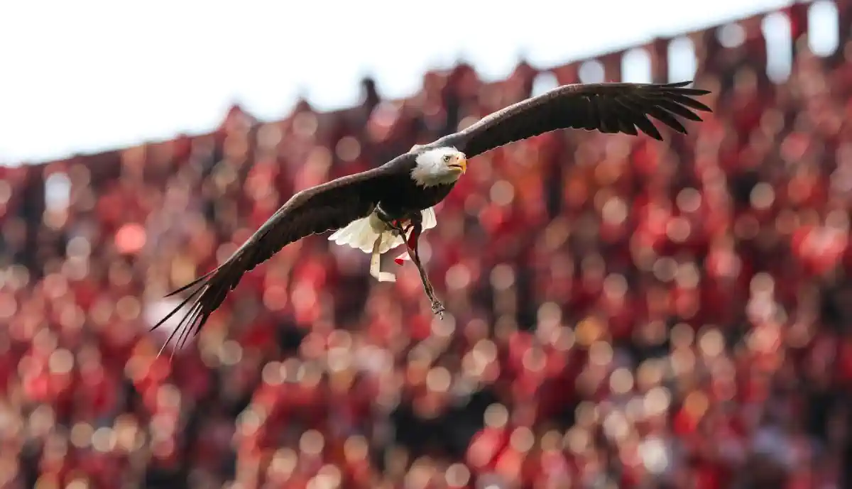 João Tralhão, treinador adjunto de José Mourinho no Benfica, considera a aprendizagem do jogo sob duas perspectivas diferentes