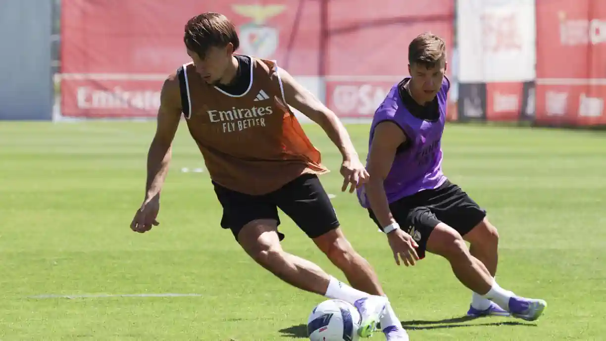 Atenção, Benfica! Dedic já chegou, mas cenário não é promissor: “Dói-me…”