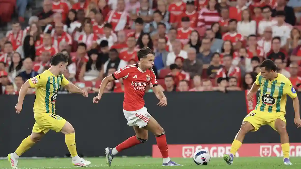 Loucos por Dedic! Adeptos do Benfica encantados com o bósnio
