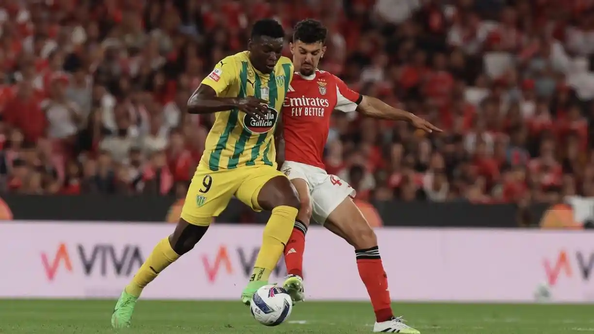 Benfica pondera deixar Tomás Araújo voltar... Para onde é mais feliz