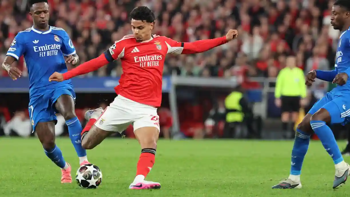 Richard Ríos acredita na reviravolta no Real Madrid - Benfica : "Tudo é possível"