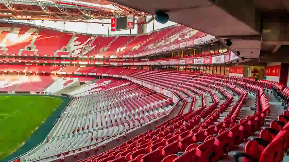 Benfica e rivais na luta pelo título. Quem irá vencer o troféu?