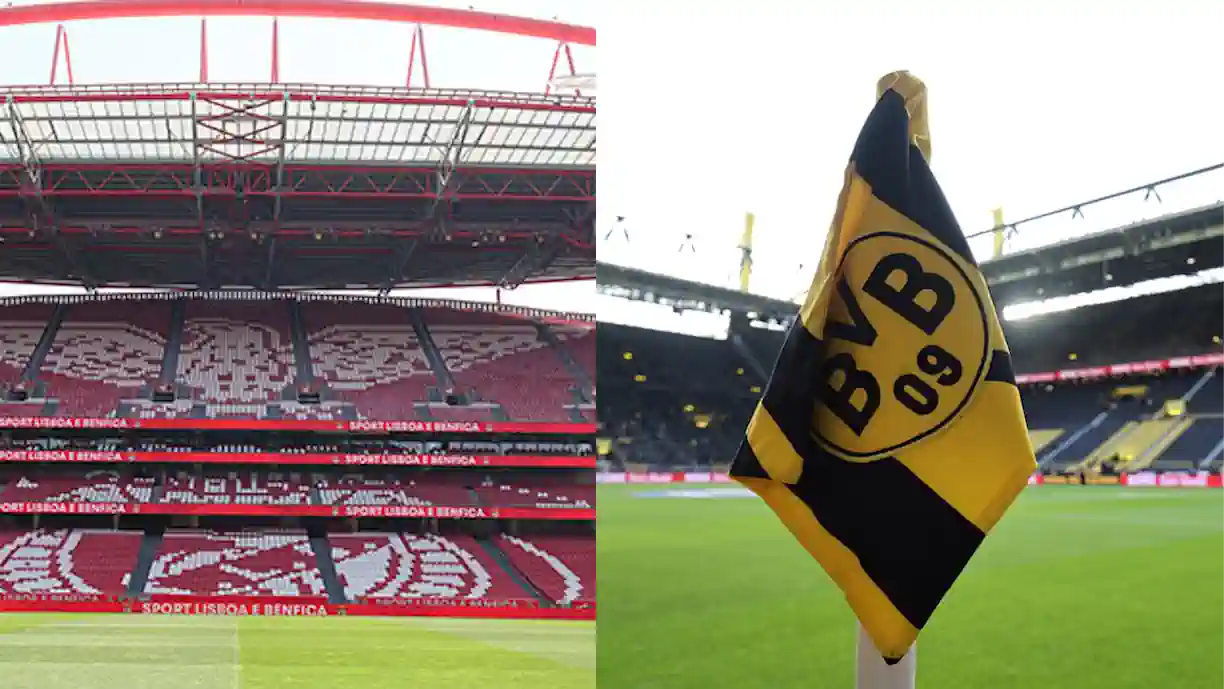 Futebolista que saiu a custo zero do Benfica pode rumar ao Borussia Dortmund por 40M
