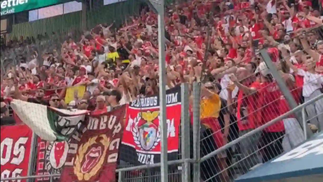 Adeptos do Benfica envolvem-se em cenas de pancadaria após escândalo na Suíça