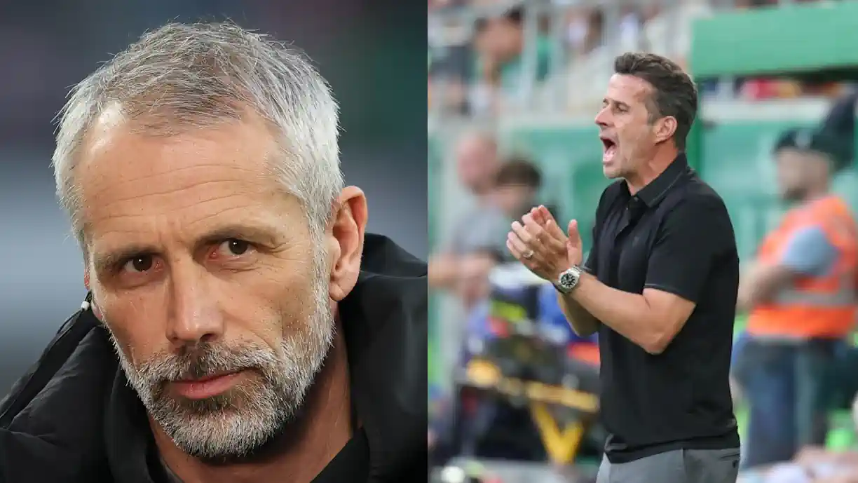 António Silva está muito perto de trocar o Benfica pelo Bournemouth; Marco Rose vai contar com pupilo de Marco Silva